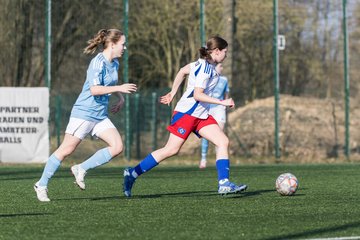 Bild 236 - F Hamburger SV 3 - Blau-Weiss 96 : Ergebnis: 5:1